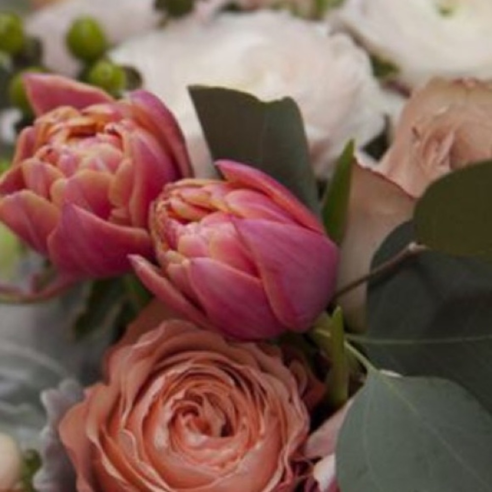 Meet your Posher, Devorah